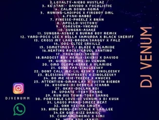 [Dj Mix] Dj Venum – Lagos Hustle Mixtape mp3 Audio Download