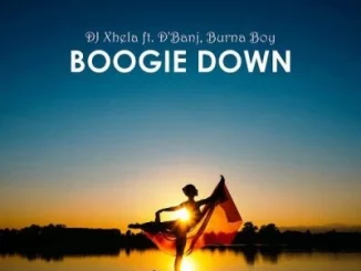 DJ Xhela Ft. Burna Boy & D’Banj – Boogie Down