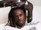 Fireboy DML – Ashawo Mp3 download