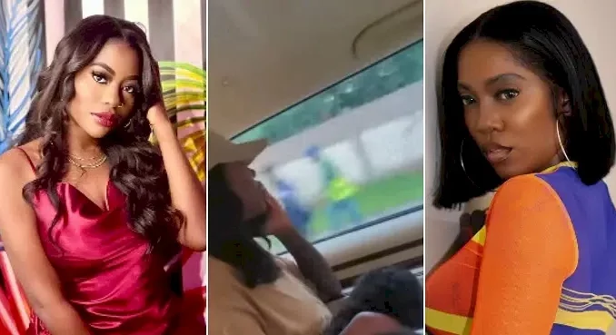 "I Want To Be Tiwa Savage's Puppy" - Sophia Momodu Reacts As Tiwa Savage Orders Diamonds For Her Puppy (Video)