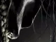Grimcutty (2022) Full Movie Download Mp4