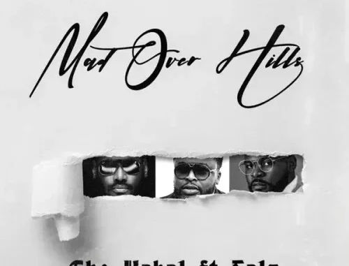 2Baba ft. Falz, Larry Gaaga, The Kabal – Mad Over Hills