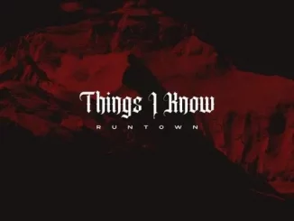 Things I Know by Runtown