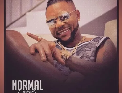 Normal Level by Oritse Femi