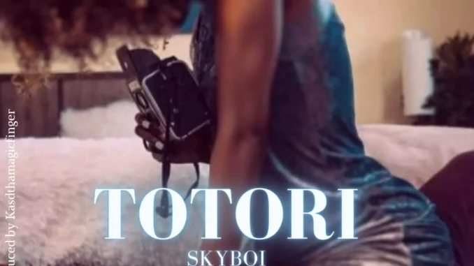 Totori by Skyboi