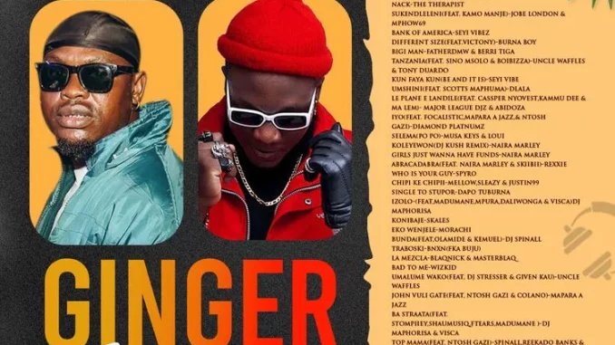 Ginger Mixtape by Dj Venum x Somadina