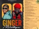 Ginger Mixtape by Dj Venum x Somadina