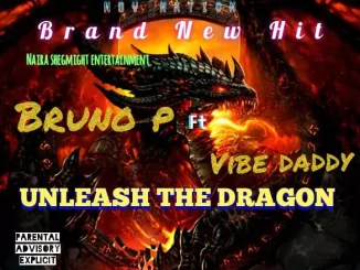 Unleash The Dragon by Bruno P ft. Vibe Daddy