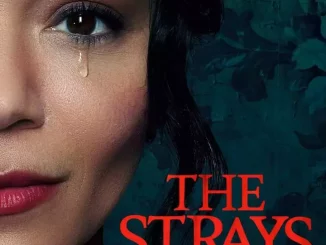 The Strays (2023) Full Movie Download Mp4