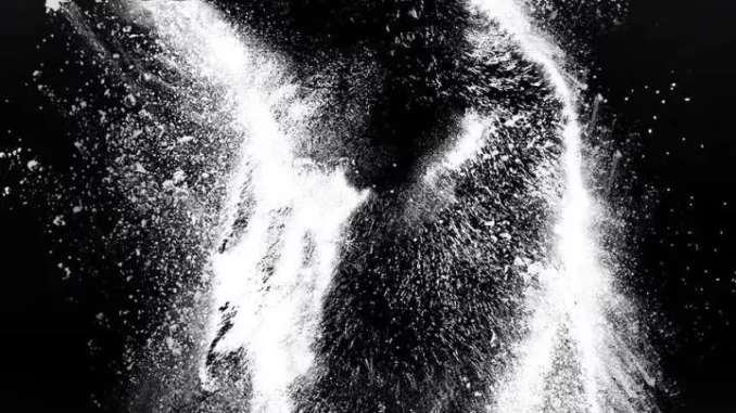 Cocaine Bear (2023) Full Movie Mp4