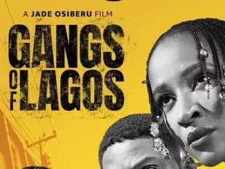 Lagos State Government Trashes 'Gangs of Lagos' Movie