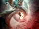 Monkey King: Hero Is Back (2015) Full Movie Download Mp4