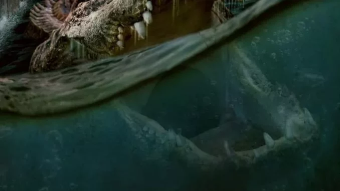 The Flood (2023) Full Movie Download Mp4