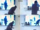 "So This Is Big Brother"- Man Mistakenly Shows Himself During Show