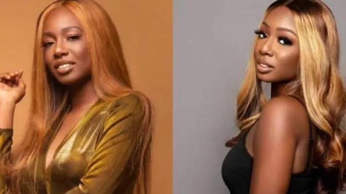 Tolanibaj blasts Nigerians dragging her over her conduct in BBNaija house